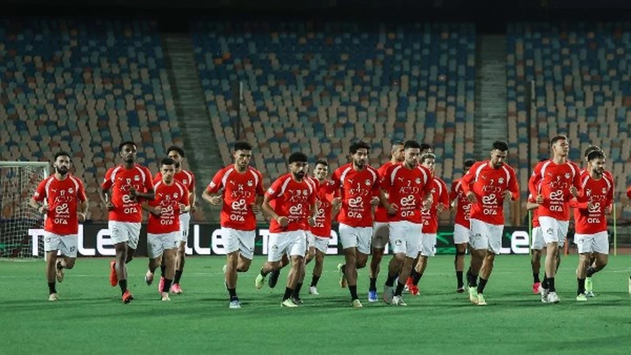 مصر تواجه البرازيل في مباراة تحضيرية لكأس العالم